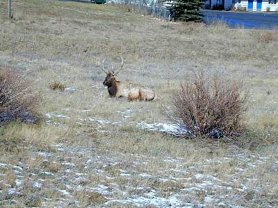 P047-1999-1017-1253-36EM.jpg