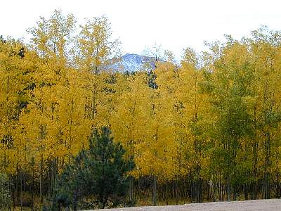 2000-1001-1108-13EM.jpg