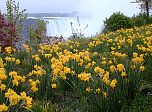 P20-2001-0517-1434-42EM.jpg