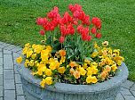 P42-2001-0518-1226-53EM.jpg