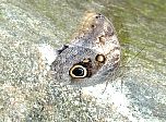 P44-2001-0518-1333-24EM.jpg