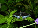 P45-2001-0518-1335-15EM.jpg