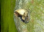 P47-2001-0518-1336-49EM.jpg