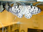 P48-2001-0518-1338-52EM.jpg