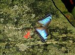 P51-2001-0518-1344-39EM.jpg