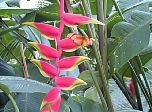 P53-2001-0518-1356-29EM.jpg