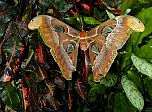 P54-2001-0518-1334-08EM.jpg