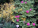 P56-2001-0518-1415-13EM.jpg