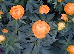 P57-2001-0518-1417-28EM.jpg