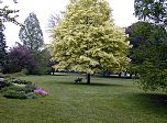 P58-2001-0518-1418-15EM.jpg