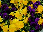 P61-2001-0518-1423-13EM.jpg