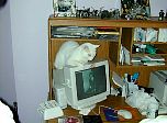 P17-2001-0521-1621-33EM.jpg