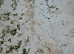 P17-2001-0601-1051-41EM.jpg