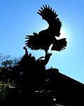 P29-2001-1013-1620-54A-EM.jpg