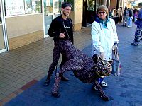P36-2001-1013-1328-59A-EM.jpg