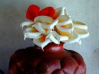 P42-2001-1016-1152-36A-EM.jpg