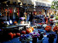 P43-2001-1016-1149-17A-EM.jpg