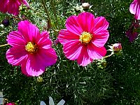 P65-2001-1016-1501-37A-EM.jpg