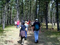 2002-0601-1037-36A-EM.jpg