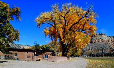 P25-2002-1025-1217-29A-EM.jpg