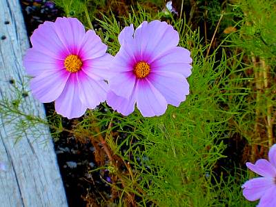 P46-2002-1025-1559-09A-EM.jpg