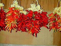 P34-2002-1026-1638-59A-EM.jpg