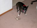 2003-0707-1512-51A.jpg