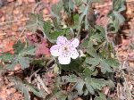 2004-0613-1002-30A-EM.jpg