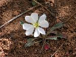 2004-0613-1006-52A-EM.jpg