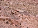 2004-0613-1147-58A-EM.jpg