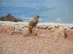 2004-0613-1501-26A-EM.jpg