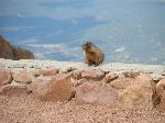 2004-0613-1501-34A-EM.jpg