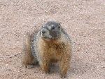 2004-0613-1502-10A-EM.jpg