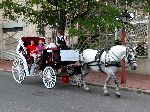 39_2004-0731-1039-49A.jpg