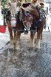 003_2009-0130-1652-08.jpg