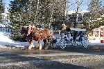 005_2009-0130-1654-27.jpg