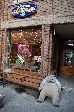 011_2009-0130-1726-06.jpg
