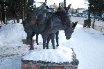 013_2009-0130-1728-15.jpg