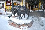 014_2009-0130-1727-02.jpg