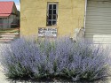 66_2016-07-31-1216-06.jpg