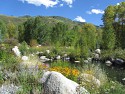 04_2017-09-19-1343-49.jpg