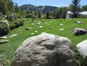 10_2017-09-19-1351-57.jpg