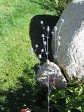 21_2017-09-19-1404-57.jpg