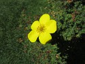 22_2017-09-19-1350-34.jpg