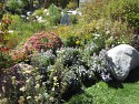 23_2017-09-19-1405-31.jpg