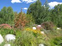 25_2017-09-19-1407-10.jpg