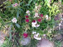 28_2017-09-19-1409-28.jpg