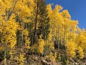 03_2017-09-20-1056-21.jpg