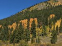 14_2017-09-20-1142-42.jpg