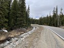 IMG_1015.JPEG